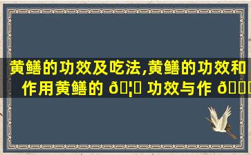 黄鳝的功效及吃法,黄鳝的功效和作用黄鳝的 🦋 功效与作 🐟 用